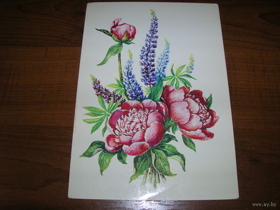 Цветы 1983 год Гасиева чистая