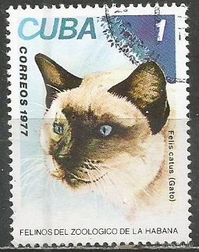 Куба. Домашняя кошка. 1977г. Mi#2257.