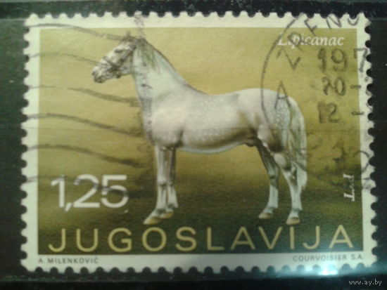 Югославия, 1969. Лошадь