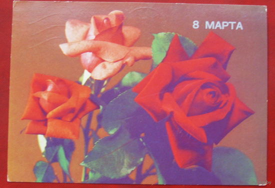 8 марта! Подписанная. 1989 года. Круцко. 57.