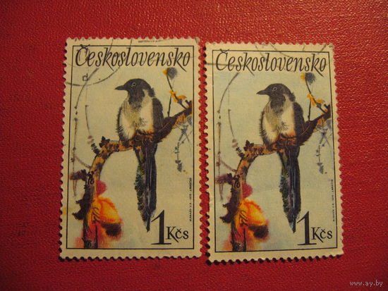 Марка Сорока (Певчие птицы)  1972 год Чехословакия
