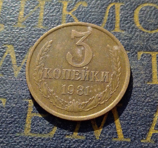 3 копейки 1981 СССР #24