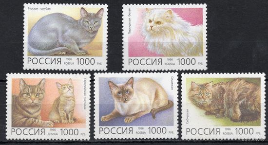 Россия 1996. Фауна. Домашние кошки. 5 марок 266-70 (153)