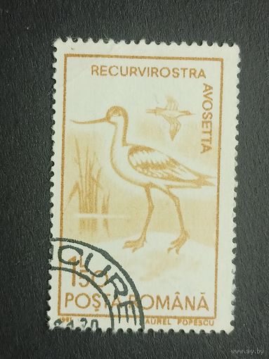 Румыния 1991. Птицы. Шилоклювка