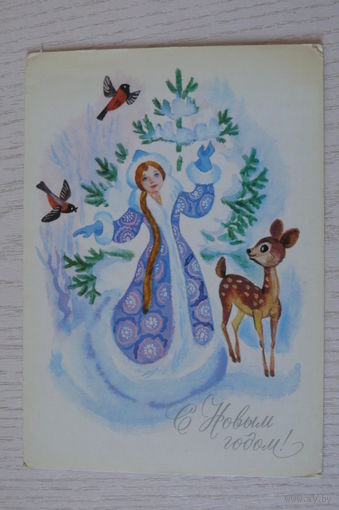 Сорокина Т., С Новым годом! 1982, чистая (дефект), Снегурочка, снегири, олененок.