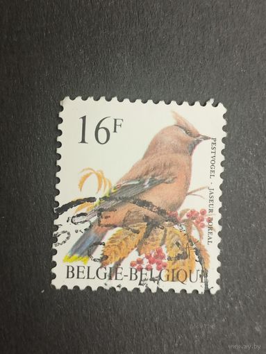 Бельгия 1994. Птицы