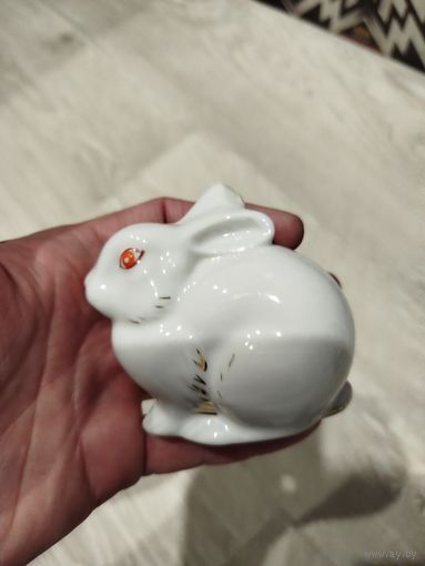 Зайка,спилено ушко