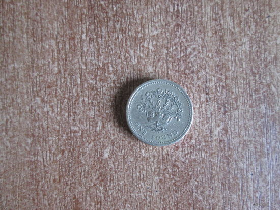 1 фунт 1991 года.Великобритания.
