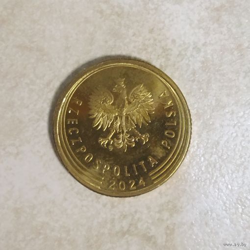 5 грошей 2024 Польша