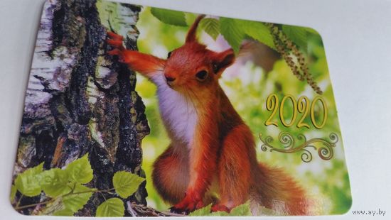 Календарик.Белка.