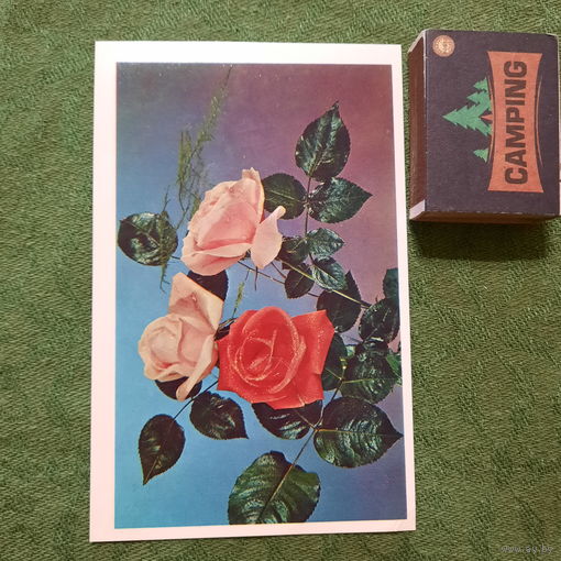 С днём рождения. Москва 1976г. (подписанная)