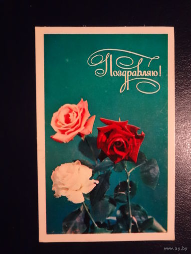 Поздравляю!  Розы.  1974 г.  подписанная.