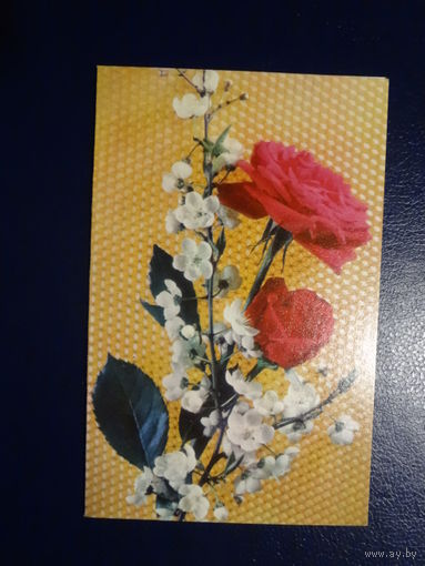 Поздравляем! Розы, яблоневый цвет. 1972 г. подписанная. двойная.