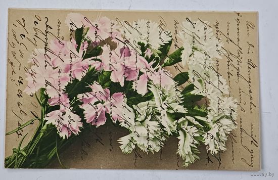 1908 год Либава Открытка