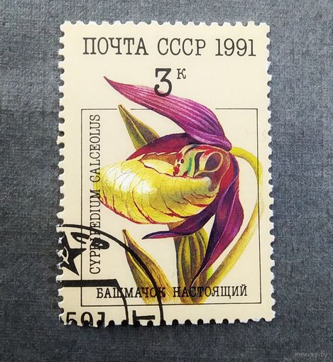 Марка СССР 1991 год Орхидеи