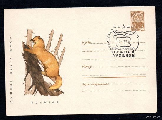 Художественный маркированный конверт СССР со спецгашением  N 4603 (27.03.1967) Пушные звери СССР  Колонок