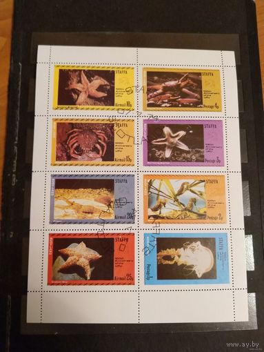 Шотландия Стаффа фауна моря (3-5)