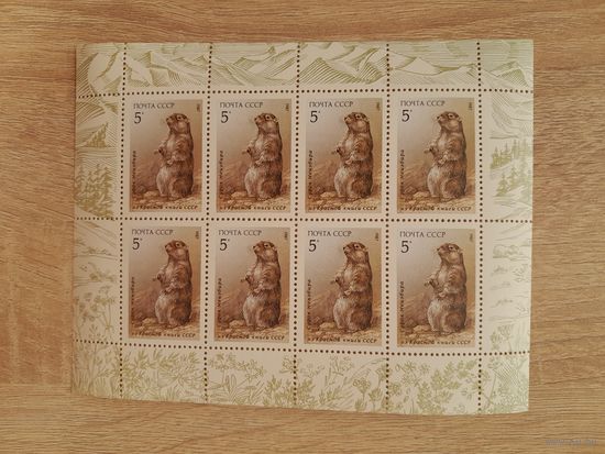 Малый лист 1987 г. Сурок Мензбира