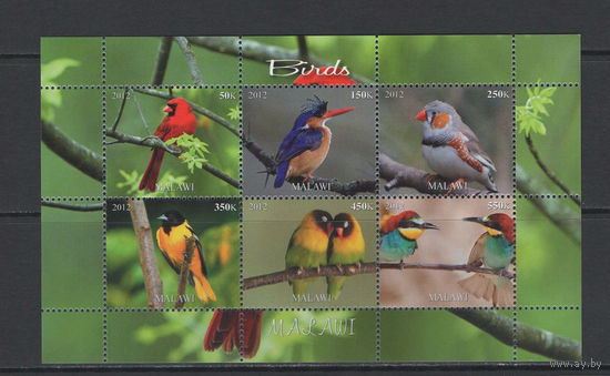Малави 2012  Птицы