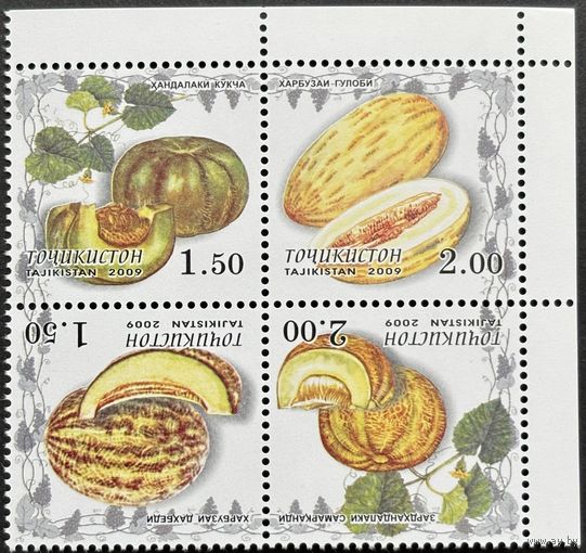 Таджикистан 2009 . Флора. Фрукты. Дыни. Квартблок