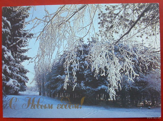 С новым годом! Чистая. 1989 года. Буркина. *76.