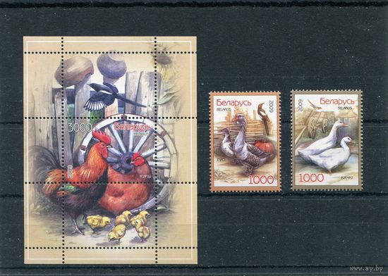 Беларусь 2009. Домашние птицы