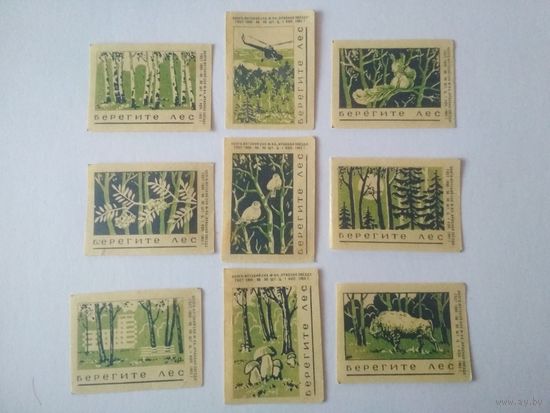Спичечные этикетки ф.Красная звезда. Берегите лес.1963 год