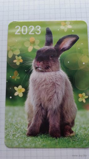 Календарик. Серый заяц на лужайке.2023