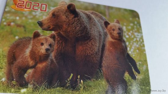 Календарик.Мишутки.