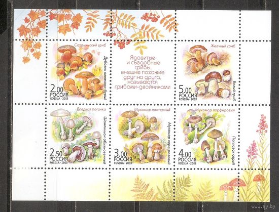 ФФ1 Россия 2003 Грибы