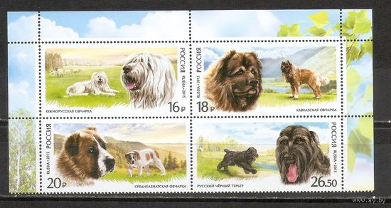 ФФ1 Россия 2015 Собаки