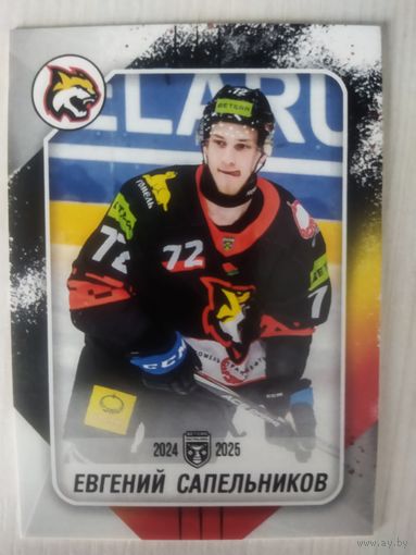 Евгений Сапельников / ХК Гомель
