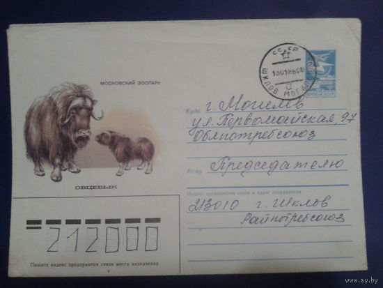 1985 хмк овцебык