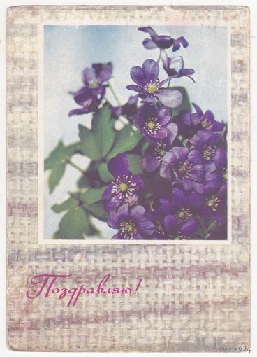 Открытка 1968 (383)