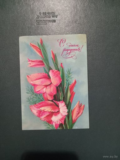Открытка "С Днем рождения" худ. Т.Панченко 1981 чистая