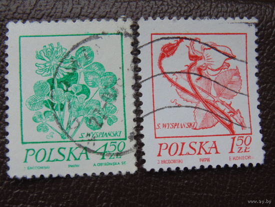 Польша. Цветы.