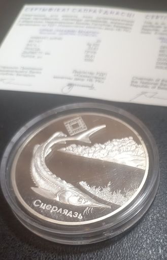 Заказник "Днепро - Сожский". Стерлядь. 20 рублей. Серебро. 2007 год.