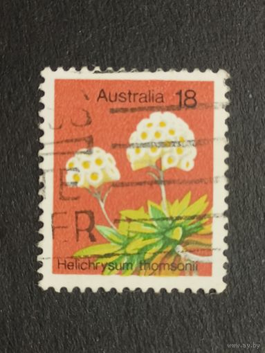 Австралия 1975. Растения