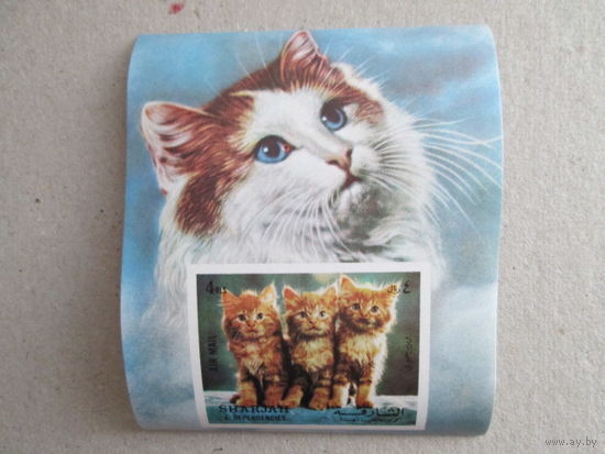 Шарджа. Кошки.