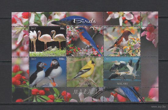 Малави 2012  Птицы