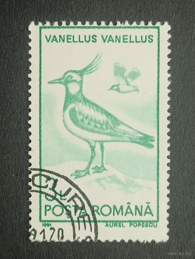 Румыния 1991. Птицы. Чибис