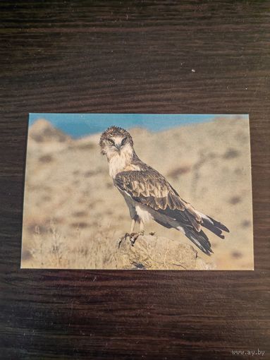 Календарик,животные,1989