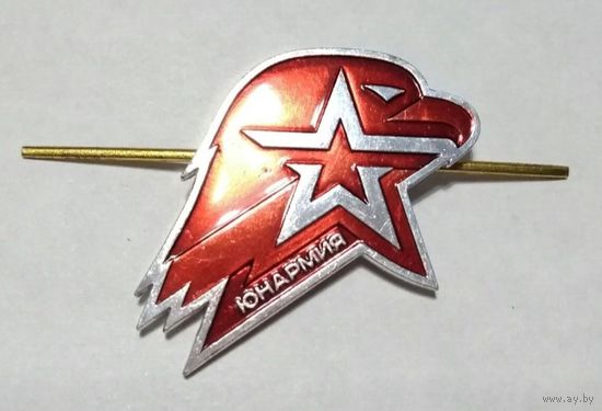 Кокарда Юнармии Россия. Размер 30х40 мм