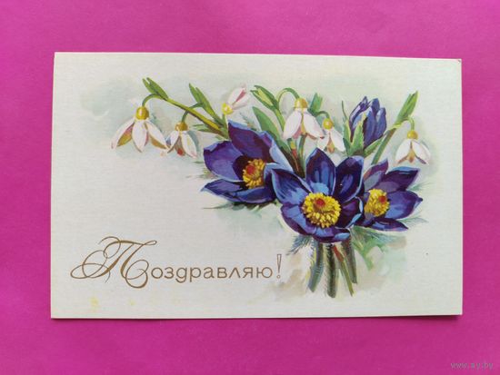 Поздравляю! Чистая. 1977 года. Куртенко. #40.