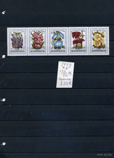 СИРИЯ  ЦВЕТЫ, СЦЕПКА ИЗ  5м,   1977,          (на  "СКАНЕ" справочно приведены номера и цены по Michel)