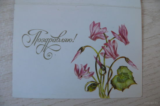 Охотина Н., Поздравляю! 1988; двойная, подписна, мини-формат.