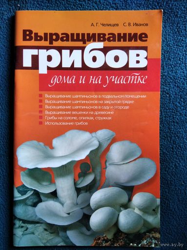 Выращивание грибов дома и на участке