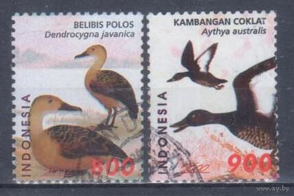 [737] Индонезия 2000. Фауна.Птицы.Утки. Гашеная серия.