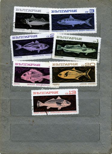 БОЛГАРИЯ, 1969,  РЫБЫ,  7м, гашен