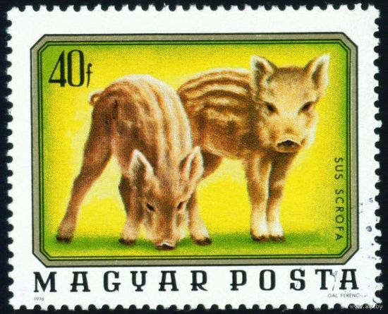 Дикие животные Венгрия 1976 год 1 марка